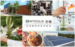 CENTIFOLIA芬稚，法国有机护肤品跨境中国